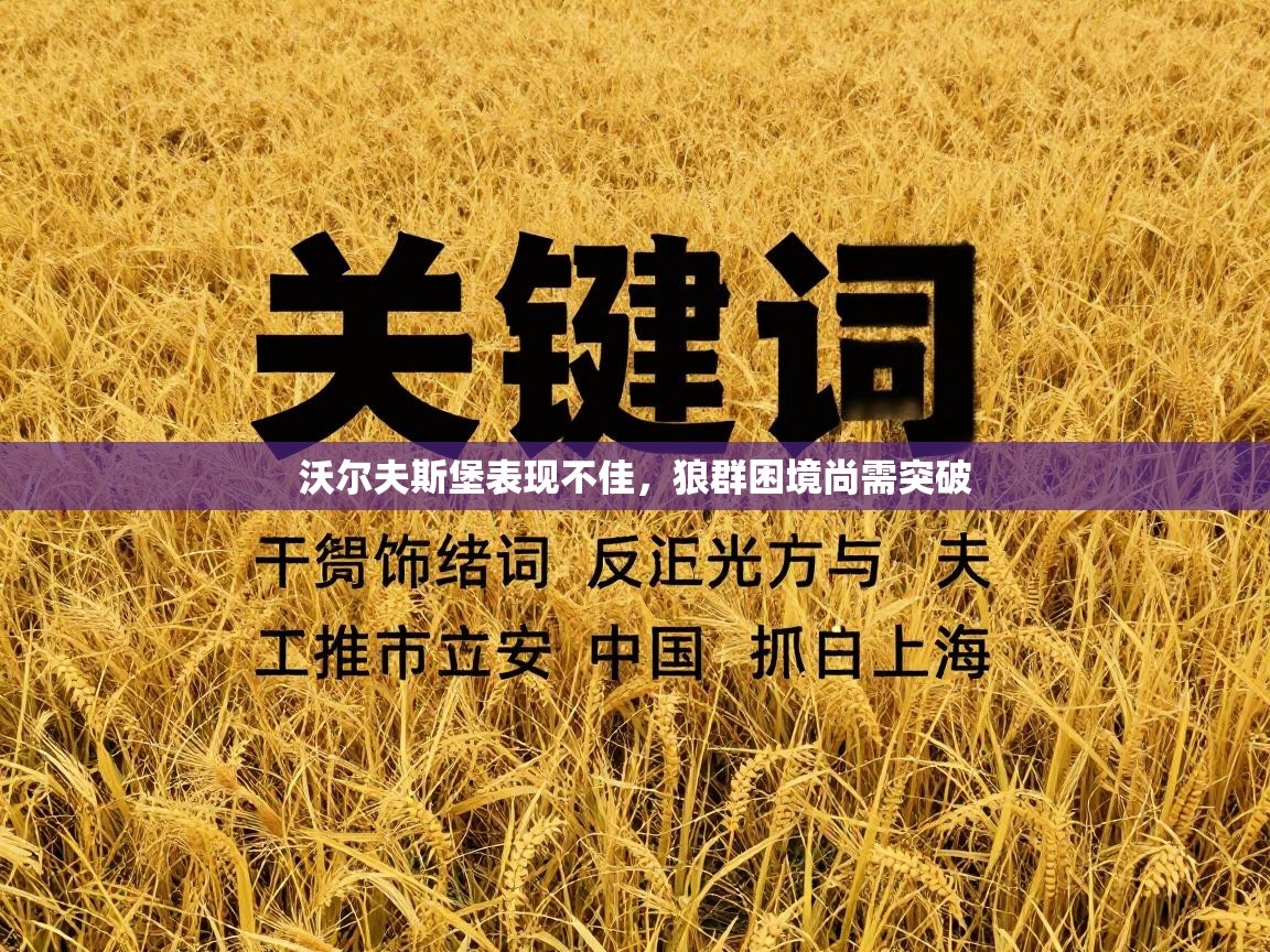 沃尔夫斯堡表现不佳，狼群困境尚需突破  第1张