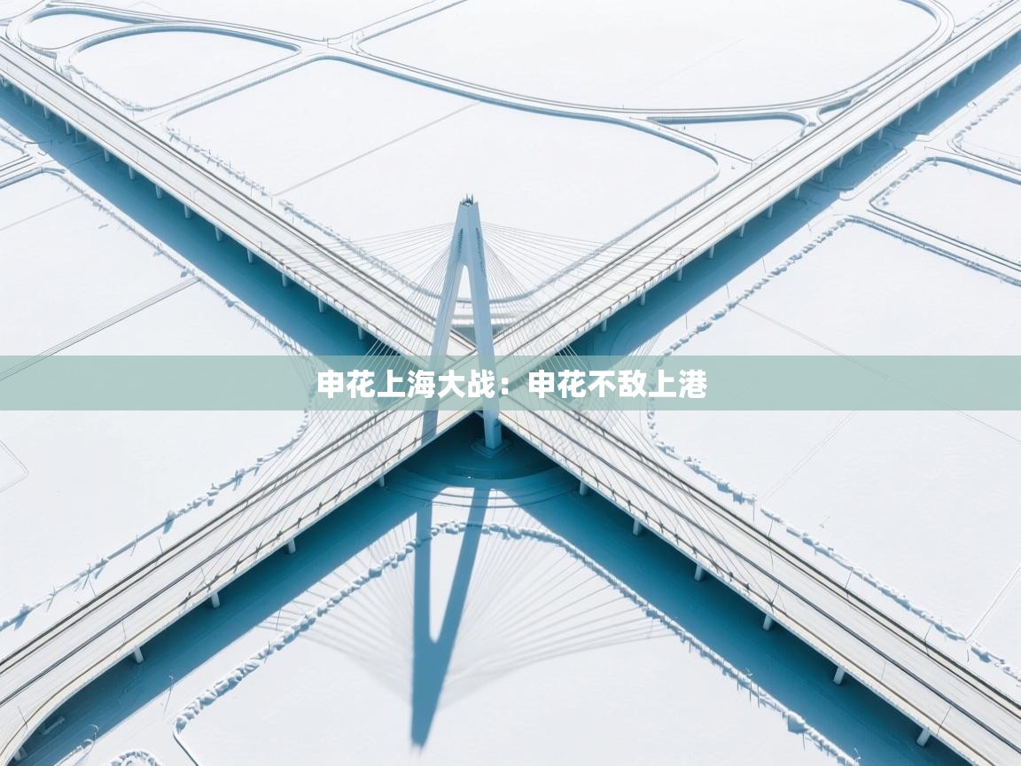 申花上海大战：申花不敌上港  第1张
