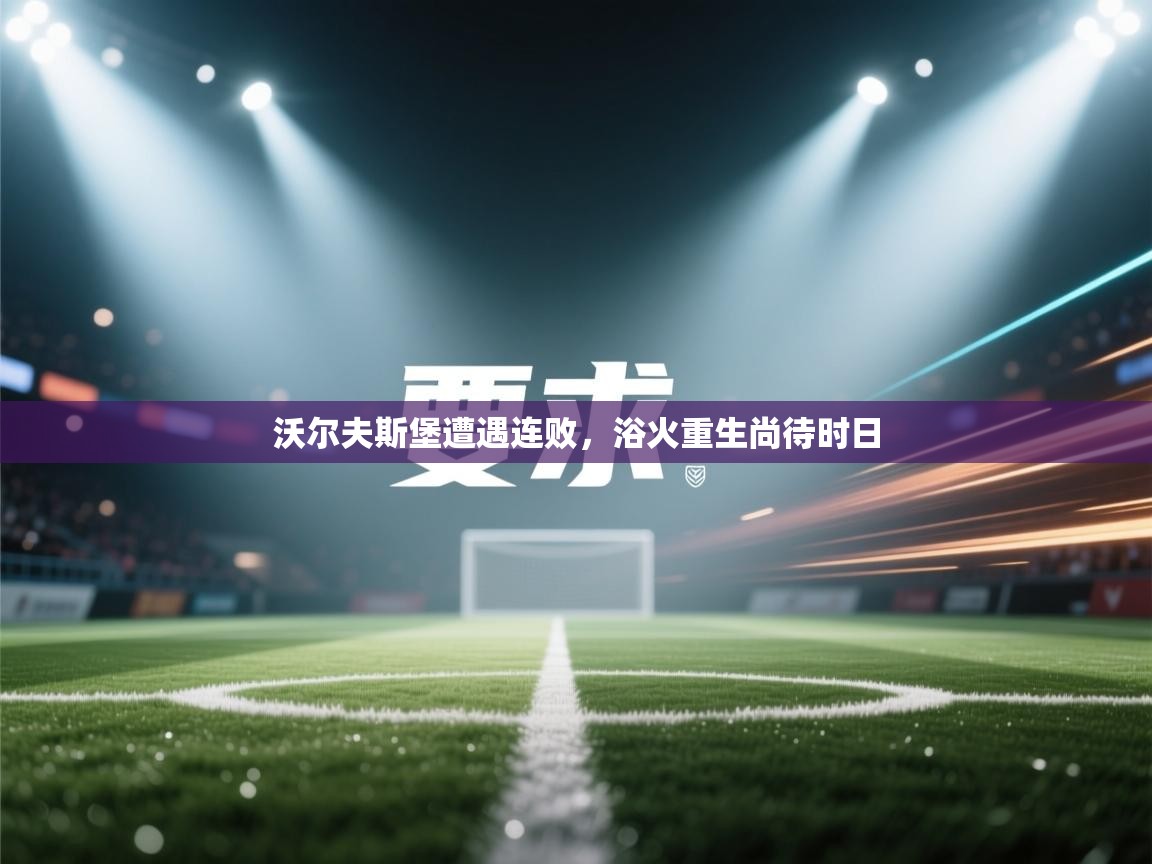 沃尔夫斯堡遭遇连败,浴火重生尚待时日 第2张