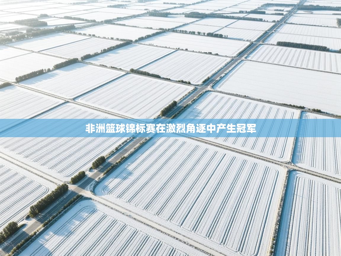 非洲篮球锦标赛在激烈角逐中产生冠军